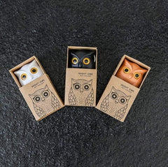 Owl Key Holder